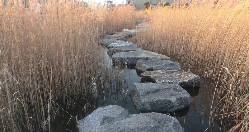 Mystical Stepping Stones